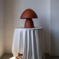 Modern desk lamp Boletus