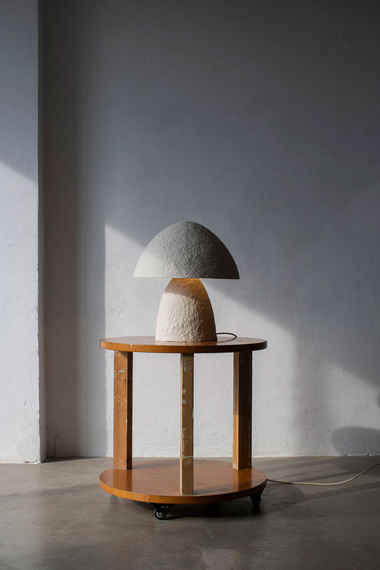 Modern desk lamp Boletus